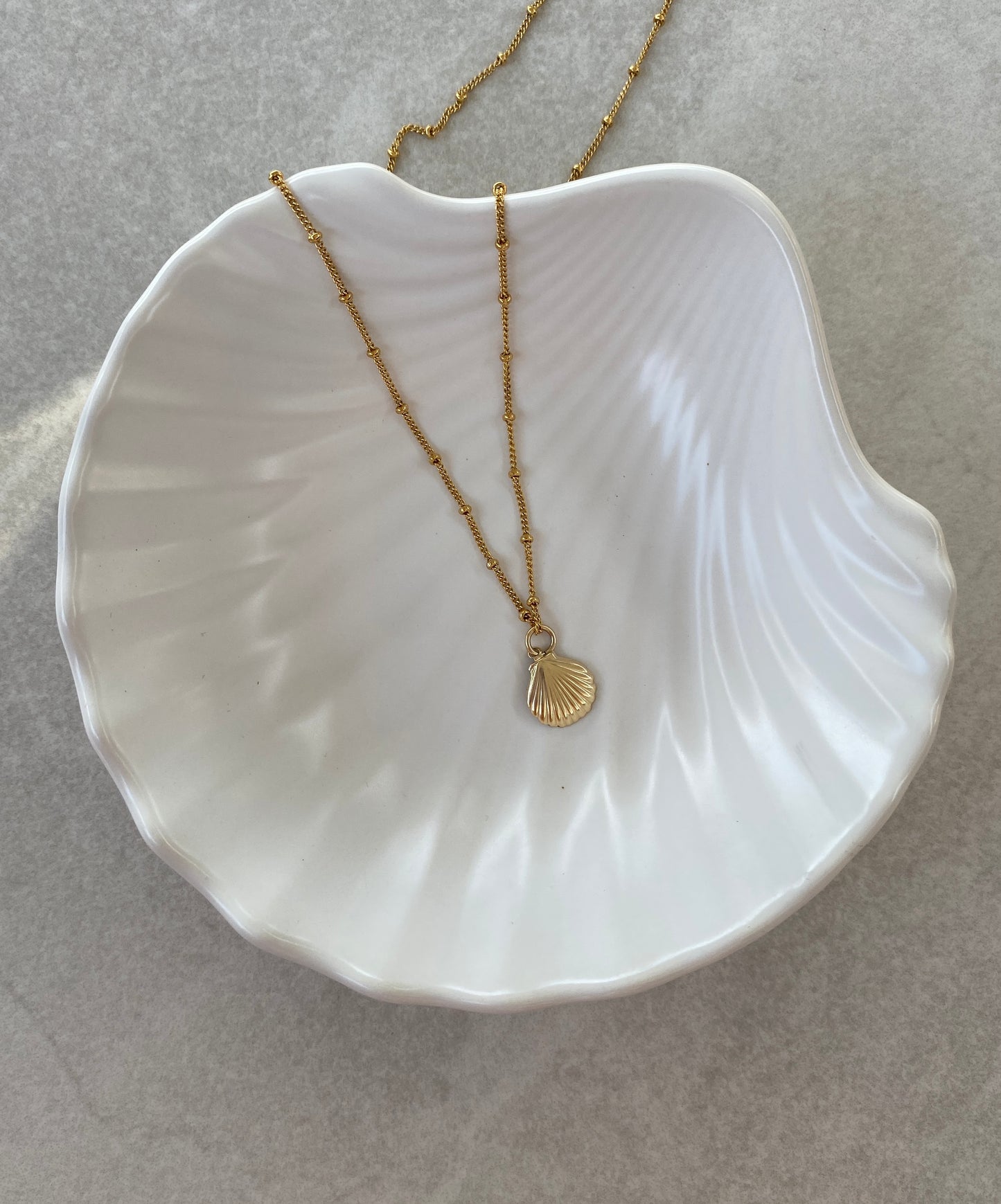 Seashell Necklace