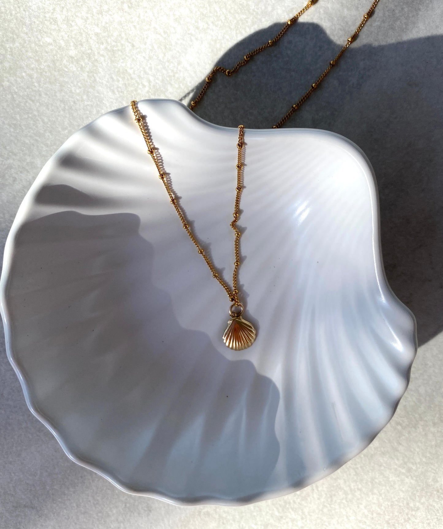 Seashell Necklace