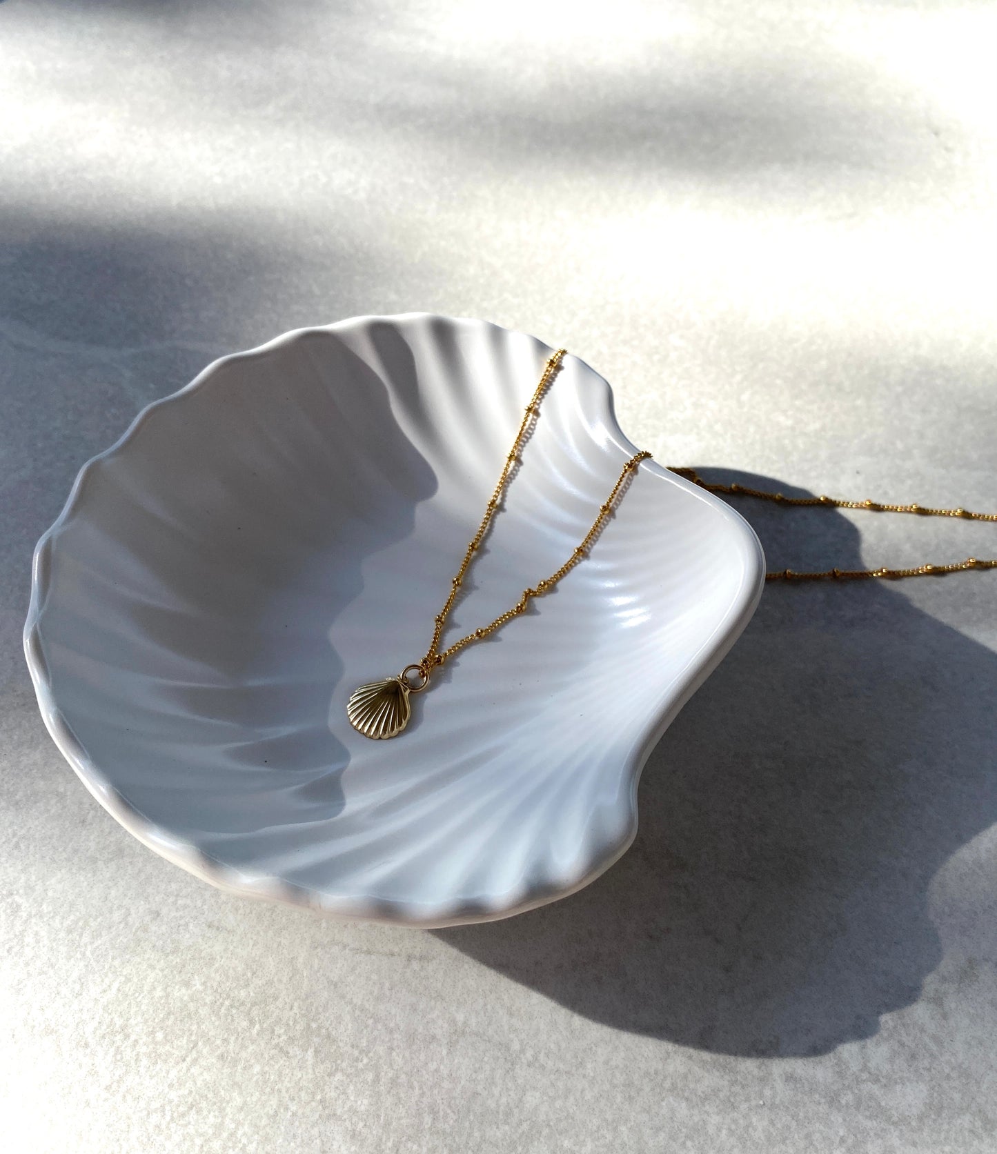Seashell Necklace