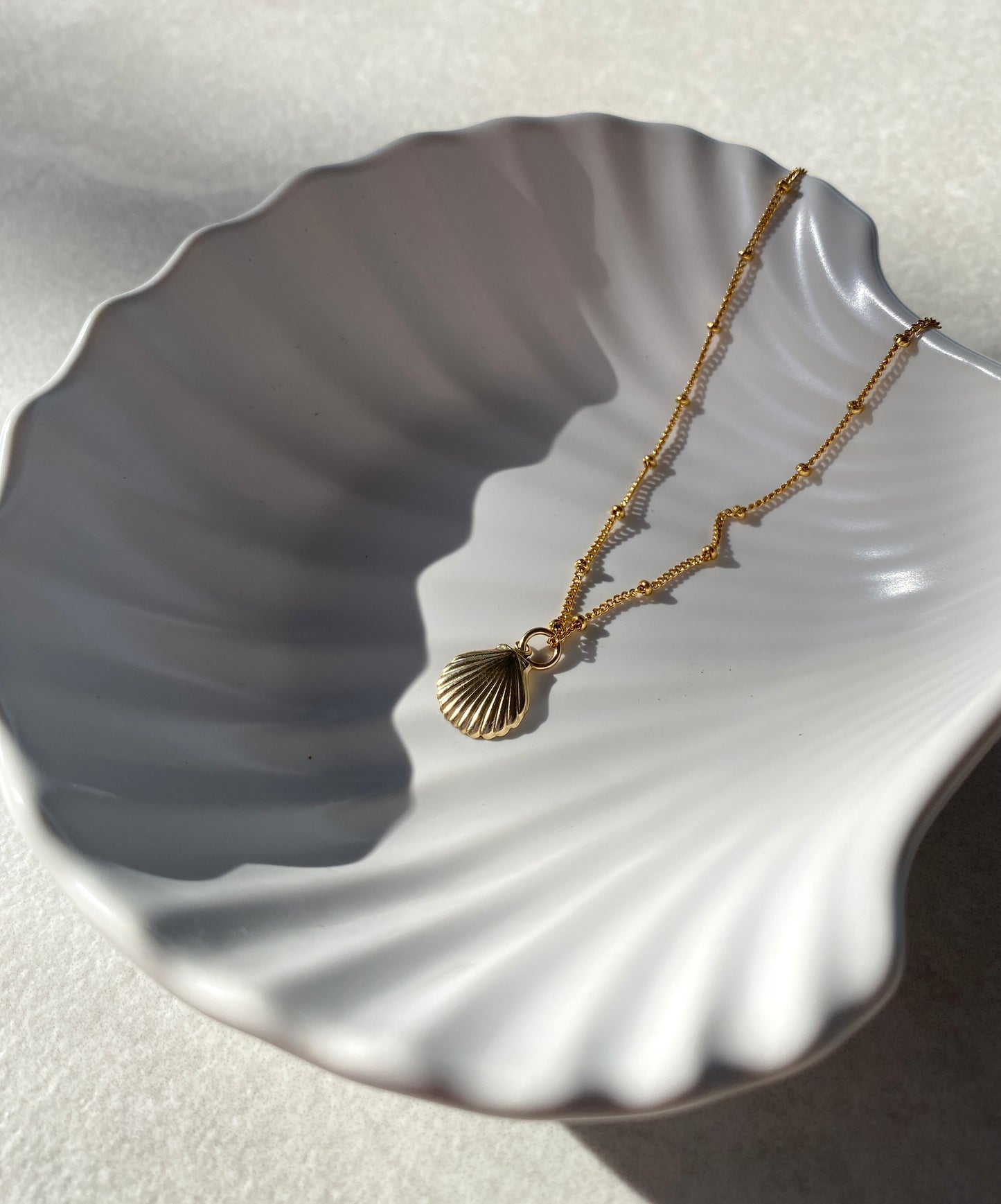 Seashell Necklace