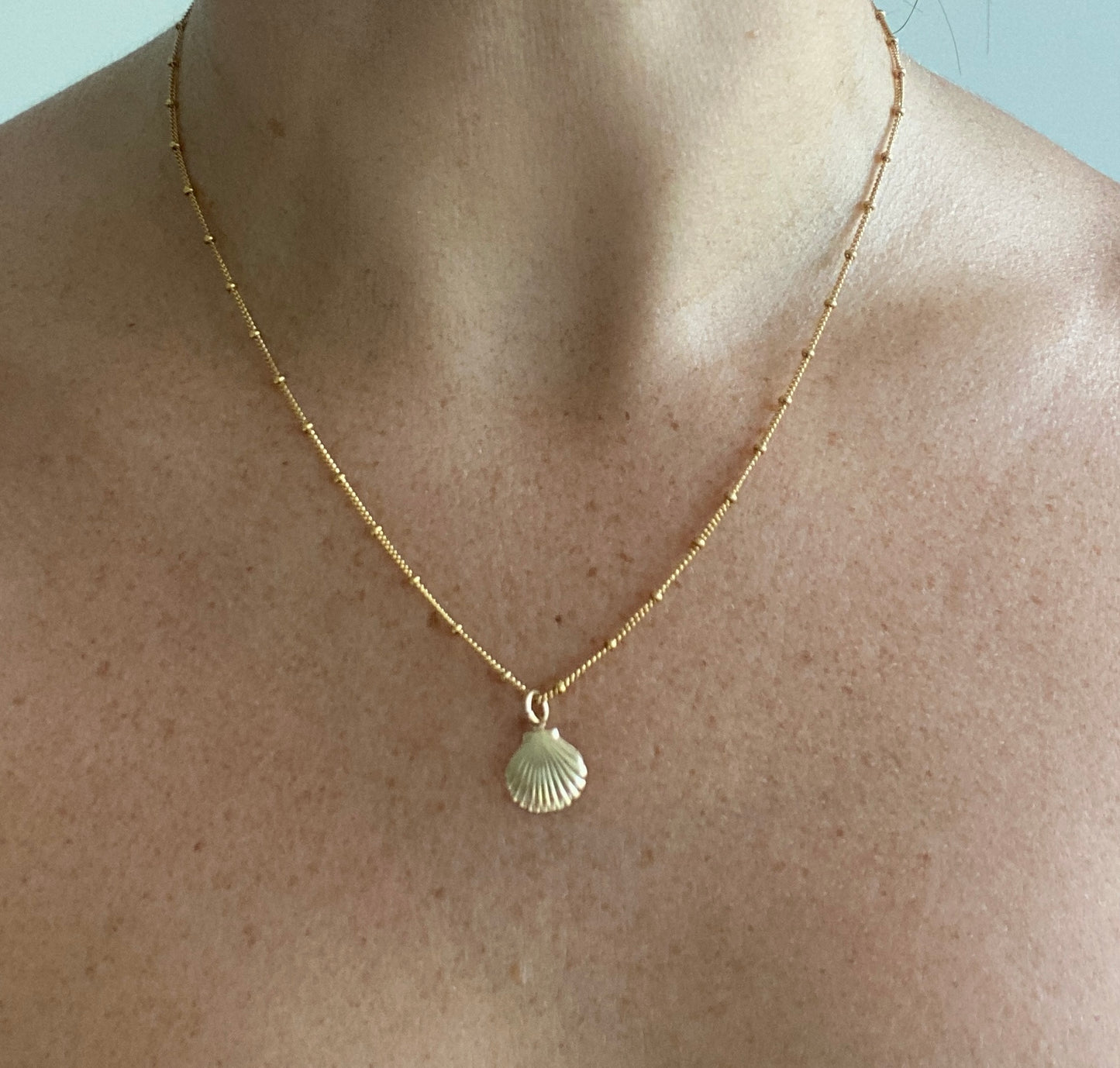 Seashell Necklace
