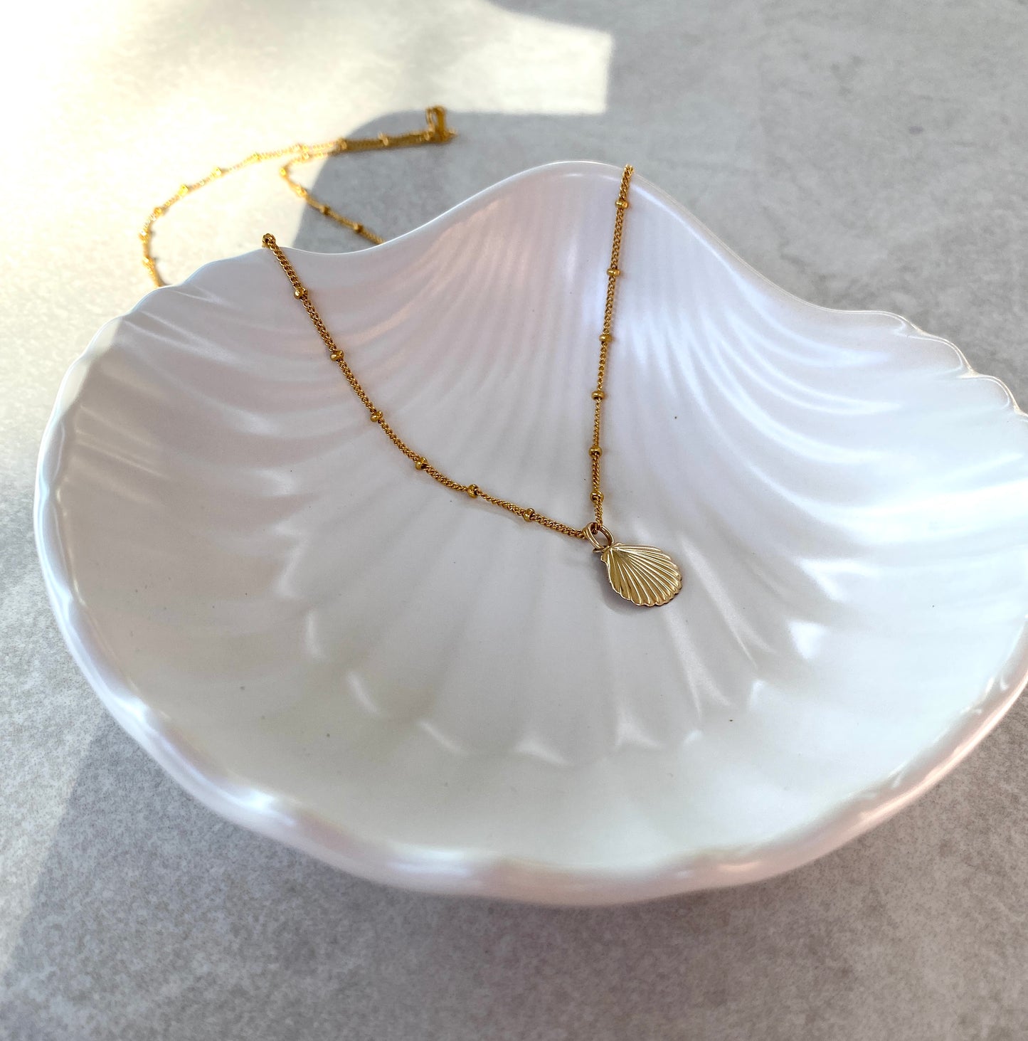 Seashell Necklace