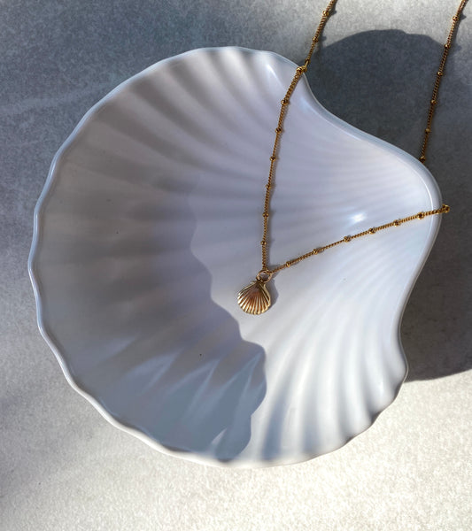 Seashell Necklace